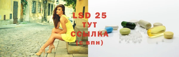 сатива Зерноград