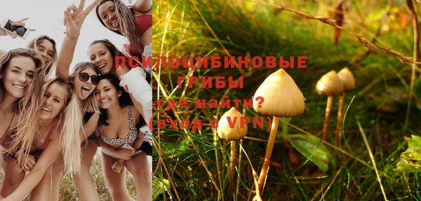 эйфоретик Заводоуковск