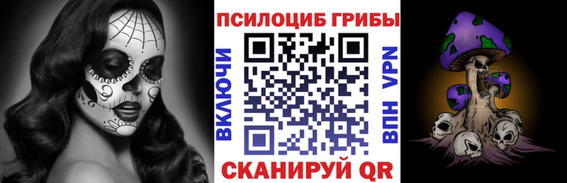 купить наркоту  это телеграм  Псилоцибиновые грибы мицелий  Валдай 